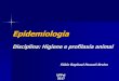 BIOESTATÍSTICA APLICADA À EPIDEMIOLOGIAwp.ufpel.edu.br/ccz/files/2016/03/Introducao-ao-estudo... · 2017-05-27 · Epidemiologia Conceito: epi (sobre) + demo (povo) – Estudo da