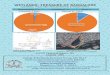 WETLANDS: TREASURE OF BANGALORE - India Water Portal · Wetlands: Treasure of Bangalore, ENVIS Technical Report 101, Energy & Wetlands Research Group, CES, IISc, Bangalore, India