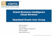 Oracle Business Intelligence Cloud Services Heartland ...vlamiscdn.com/papers/BICS.pdf•Data Warehousing •Business Intelligence •Data Mining and Predictive Analytics •Data Visualization