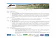 Programmeuuid...of ecological dune restoration in Northern France and Belgium o Quentin LAPORTE-FAURET (CNRS, Université de Bordeaux) et al. Morphological and ecological monitoring