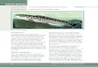 Factsheet native two-spined blackfish - Murray-Darling Basin … · 2019-03-22 · blackfish by its possession of 1–3 spines in the dorsal fin. Biology and habitat The Two-spined
