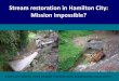 Stream restoration in Hamilton City: Mission Impossible?8 Waikato River Gully streams s 10 30 50 70 Waikato River Gully streams xa Invertebrates Native fish. ... Jan Mar Apr Jun Aug