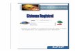 SISTEMA REGISTRAL - Conti Farias€¦ · El servicio “Sistema Registral”, es una herramienta disponible en Internet que requiere la utilización de “Clave Fiscal” y dentro