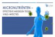 MICRONUTRIËNTEN - Dr. Rath Health Foundation · 2020-03-25 · virussen in de cellen kan stoppen. Bij blootstelling aan hogere concentraties micronutriënten, kunnen deze virussen
