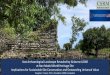 Nan Madol LiDAR Products · at Nan Madol World Heritage Site. Implications for Sustainable Site Conservation and Outstanding Universal Value. Douglas C. Comer, Ph.D., President, CSRM