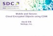 Mobile and Secure: Cloud Encrypted Objects using CDMI · 2015 Storage Developer Conference. © Insert Your Company Name. All Rights Reserved. Visual Taxonomy 3