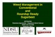 Weed Management in Conventional and Roundup Ready …Weed control reminders for conventional sugarbeet • Before planting – Choose fields with the fewest weeds, especially kochia