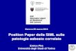Position Paper della SIML sulle patologie asbesto …sulle patologie asbesto-correlate Enrico Pira Università di Torino Linee Guida e position paper SIMLII Asbesto Enrico Pira Overview