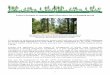 4 Future Concepts in Uneven-Aged Silviculture for a ... · Continuous Cover Forestry Group 4.1 Spring 2015 Future Concepts in Uneven-Aged Silviculturefor a Changing World A summary