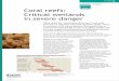 Fact Sheet on Wetlands Coral reefs: Critical wetlands in severe · PDF file 2015-05-19 · Coral reefs are suffering dramatically from human-induced and natural pressures. 75% of the