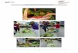 Com s’alimenten les plantes de l’hort? - XTEC ALUMNAT_16.pdf · Durant aquest curs estem desenvolupant a la classe de quart de primària un projecte de treball experimental amb