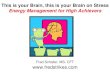 This is Your Brain-This is Your Brain on Stress! · 2018-04-02 · Energy Management Versus Stress Management • Stress “Management” is Mediocrity and a Defensive, Fear Based