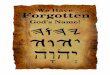 We Have Forgotten God's Name! - Signs From Heaven · HaShem “The Name” is a title – not a name! By using God's proper name we allow Him to have unhindered access to our affairs