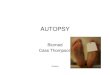 AUTOPSY - Autopsy 29 • First released Lisa McPherson Autopsy pictures • Circuit Judge Bob Barker ruled on Thursday 27 February 1997 that autopsy photographs depicting insect bites