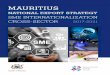 MAURITIUSindustry.govmu.org/English/Documents/13_SME...2 MAURITIUS NATIONAL EXPORT STRATEGY – SME INTERNATIONALIZATION CROSS-SECTOR • 2017 – 2021 DEFINITION OF THE SME SECTOR