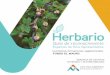 Herbario - Antofagasta Minerals · El herbario fue realizado en la IV región de Chile, provincia de Choapa, comuna de Los Vilos, en la localidad de fundo El Mauro, propiedad de Los