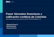 Panel: Mercados financieros y calificación crediticia de ... · Situación Colombia 2T17 Este informe ha sido elaborado por la Unidad de Colombia Economista Jefe de Colombia Juana