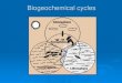 Biogeochemical cycles - AP ENVIRONMENTAL SCIENCE€¦ · Biogeochemical cycles move these substances through air, water, soil, rock and living organisms. The Water Cycle Figure 3-26