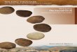 Walking Together: First Nations, Métis and · 2017-12-13 · Walking Together: First Nations, Métis and Inuit Perspectives in Curriculum Well-being THE SACRED CIRCLE Excerpt from