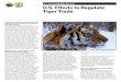 U.S. Fish & Wildlife Service U.S. Efforts to Regulate ... · to wild tiger populations are illegal hunting and trade, loss of habitat, and a declining tiger prey base. Additionally,
