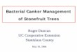 Bacterial Canker Management of Stonefruit Treescestanislaus.ucanr.edu/files/111504.pdf · 2007-07-30 · Post-harvest Sprays with Foliar Urea Application of 100 lbs of low biuret