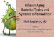 InflammAging: Bacterial Toxins and Systemic Inflammation · A leaky gut is the immunological gateway to autoimmunity and neurodegenerative disorders. The identification of systemic