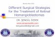 Bounes Aires 2015 Different Surgical Strategies for the Treatment … · 2018-03-05 · Different Surgical Strategies for the Treatment of Retinal Hemangioblastomas DR. ŞENGÜL ÖZDEK