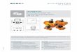 Durchflussmesser für chemische Flüssigkeiten DN 15.. · PDF file 2018-12-10 · 2 DOMINO® - Modulares Konzept für Durchflussmessungen Systemübersicht Seite 4 Ringkolbenzähler