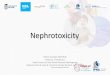 Néphrotoxicité : généralités 1 · Nephrotic syndrome (minimal change or membranous nephropathy) Lupus-like syndrome Necrotizing crescentic glomerulonephritis Renal vasculitis