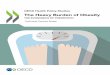 The Heavy Burden of Obesity€¦ · Technical Country Notes to the OECD report The Heavy Burden of Obesity . This document provides technical country notes to accompany the OECD report
