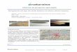 Informe de proyecto ejecutado - Naturalea · 2018-07-06 · Cliente: Centro de Estudios Ambientales del Ayuntamiento de Vitoria-Gasteiz (CEA) D.O.: CEA Ejecución: Naturalea Inicio
