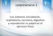 CONFERENCIA 1 - Comité Olímpico Guatemaltecoentrenadormovil.cog.org.gt/sites/default/files/document... · 2019-11-11 · CONTENIDOS DE LA ASIGNATURA Tema No.1 Sistemas Circulatorio,