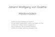 Johann Wolfgang von Goethe Heidenrö · PDF file Johann Wolfgang von Goethe Heidenröslein (a) Wer ist Johann Wolfgang von Goethe ? (b) Das Gedicht Heidenröslein: Lektüre und Fragen