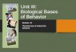 Unit III: Biological Bases of Behavior · Biological Bases of Behavior Module 10 The Nervous & Endocrine Systems. The Nervous System 10-1. The Nervous System 10-1 Fig. 10.1 p. 87