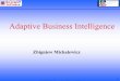 Adaptive Business Intelligence - IEEEewh.ieee.org/cmte/cis/mtsc/ieeecis/tutorial2007/CEC2007/... · 2007-10-27 · 1 CONFIDENTIAL – Property of SolveIT Software © 2005 SolveIT