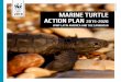 LAC 2016 MARINE TURTLE ACTION PLAN 2015-2020...Plan. WWF Latin America and the Caribbean: 2015-2020. Amorocho, D. & C. A. Dereix (Eds.). WWF-Colombia. Cali, Colombia. 122 pp. Pablo