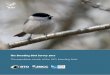 The Breeding Bird Survey 2013 - BTO · 2015-12-09 · THE 2013 BBS REPORT This is the nineteenth annual report of the BTO/ JNCC/RSPB Breeding Bird Survey (BBS), containing the population