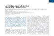 An Epigenetic Signature for Monoallelic Olfactory Receptor ...compbio.mit.edu/publications/51_Magklara_Cell_11.pdfAn Epigenetic Signature for Monoallelic Olfactory Receptor Expression