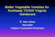 Better Vegetable Varieties for Northeast TN/SW Virginia ...saps.us/wp-content/uploads/2014/02/Better-Vegetable-Varieties-for... · – White • ‘Kennebec’ main season sales leader