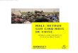 MALI: RETOUR SUR CINQ MOIS DE CRISE - Mali Actu...du Niger, 20 pour cent au Mali, 10 pour cent au Burkina Faso ainsi que dans la bande sahélienne du Tchad et plus de 20 pour cent
