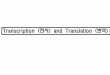 Transcription (전사) and Translation (번역)contents.kocw.net/KOCW/document/2014/gangwon/jujinho/13.pdf · • RNA: Ribonucleic acid • Transcrippgtion: Process of transcribing