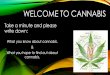 WELCOME TO CANNABIS · 2019-02-05 · HOW DOES CANNABIS WORK… Your Brain on Marijuana • THC’s chemical structure is similar to the brain chemical anandamide • Because of this