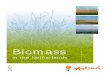 Biomass - RVO.nl · biomass for energy and non-food products, biomass for heat and power and biomass for the production of chemicals. This involves, to some extent, other processes