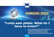 HORIZON 2020 - European Commission · 2019-08-08 · Proper implementation of the action (e.g. technical audit) Compliance with the other obligations of the grant: IPR obligations