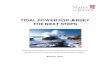 TIDAL POWER FOR JERSEY THE NEXT STEPS · Tidal Power Commission which remove the uncertainties in terms of generic environmental issues, consenting, leasing requirements and associated