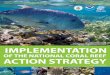 IMPLEMENTATION - Coral Reef...Healthy coral reefs provide valuable services to the American public and communities living along our coastlines – food security, resources for economic