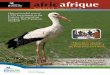Contributors to this issue - BirdLife Africa Newsletter... · 33 Bienvenues et Presentation 35 Calendrier des Événement ... contact the RIT on CEPF-EAM-RIT@birdlife. org. ... Fund
