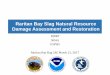 Raritan Bay Slag Natural Resource Damage Assessment and ...€¦ · RBS Coastal Vulnerabilities: Consequences of Significant Coastal Erosion from . High-Energy Storms, Off-shore Energy,