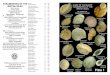 Guide to the recent Foraminifera of the British Isles€¦ · BRITISH ISLES Brian Darnton 8. Park Road. SWANAGE BH192AD ©Brian Darnton Identification References: M: J.W.Murray Atlas