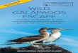 WILD GALÁPAGOS ESCAPE final.pdfthe popular field guide, Galápagos—A Natural History. He received his M.A. at Cambridge, England in Applied Biology and his Master’s from the University